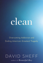 When Society Becomes an Addict: Anne Wilson Schaef: 9780062548542:  : Books
